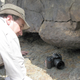Image for article titled The Oldest Forest Ever Discovered Was Hidden In the Catskills